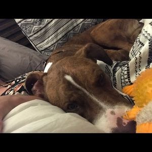 Meet your Posher, Melanie